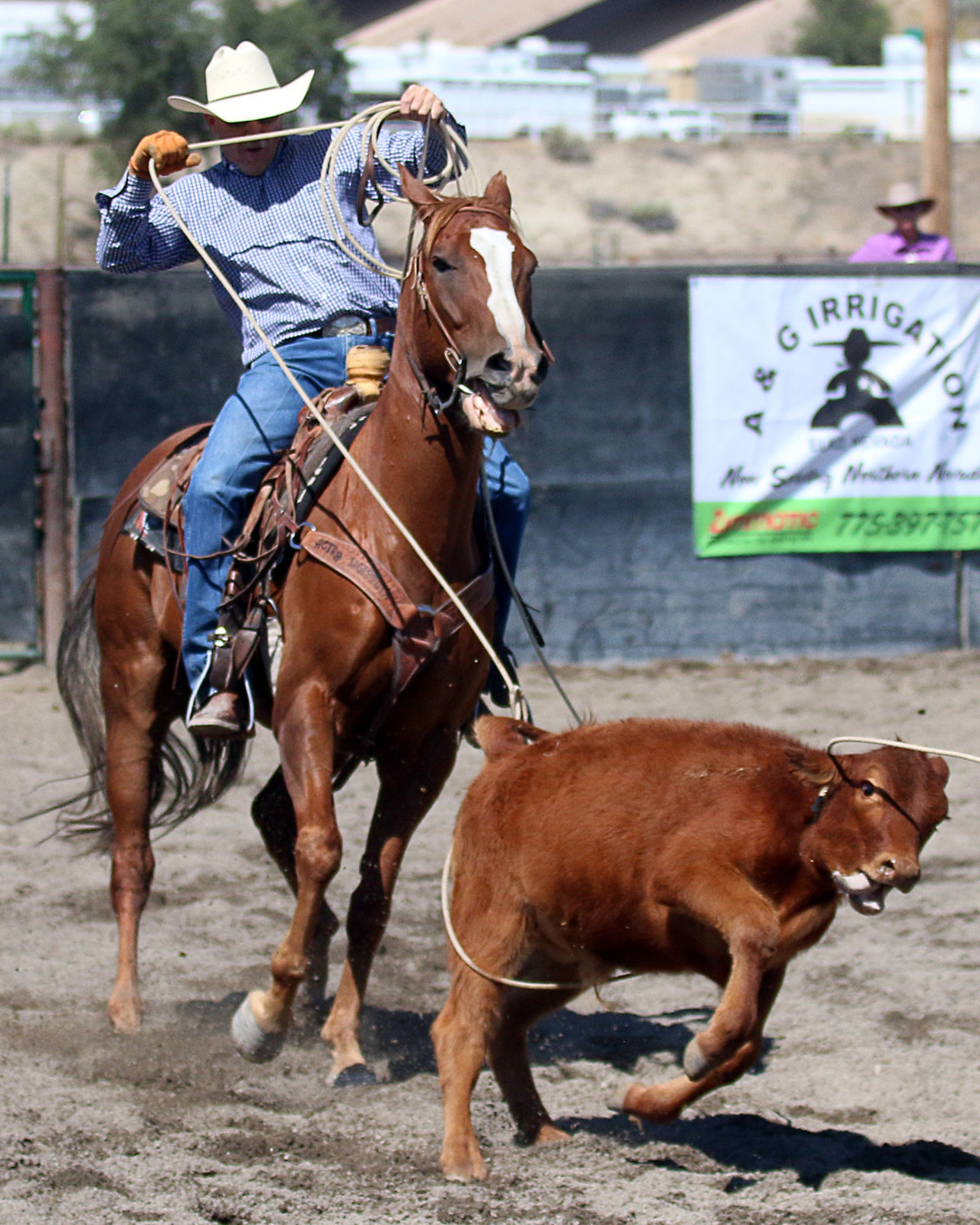 2018 Elko County Fair Open Branding Finals (7).JPG